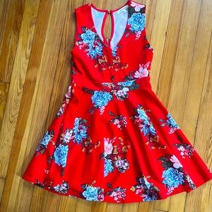 Medium Red Wishful Park Sleeveless Sun Dress